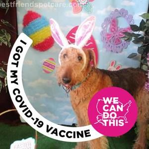 Meet your Posher, Michelle